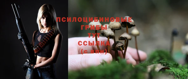 ГАЛЛЮЦИНОГЕННЫЕ ГРИБЫ Переславль-Залесский