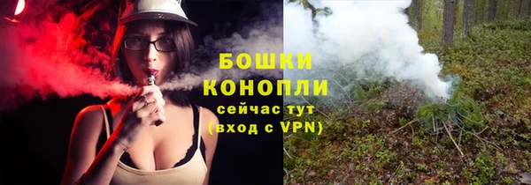 гидропоника Пересвет