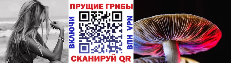 Галлюциногенные грибы Cubensis  мориарти формула  Приморско-Ахтарск  закладки 